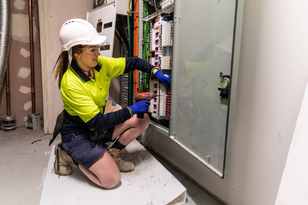 Best Electric Panel Repair  in Lago Vista, TX